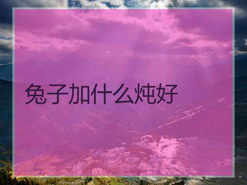 兔子加什么炖好