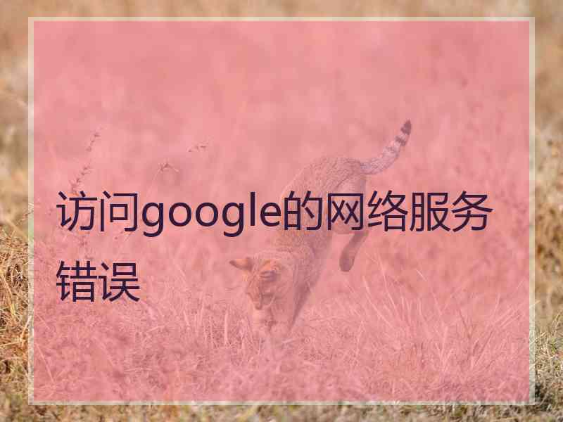 访问google的网络服务错误