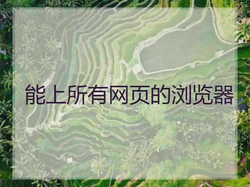 能上所有网页的浏览器