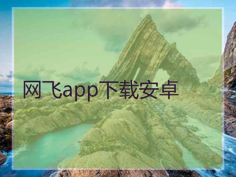 网飞app下载安卓