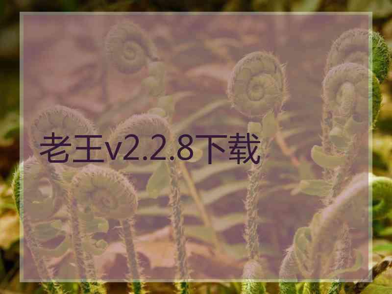 老王v2.2.8下载
