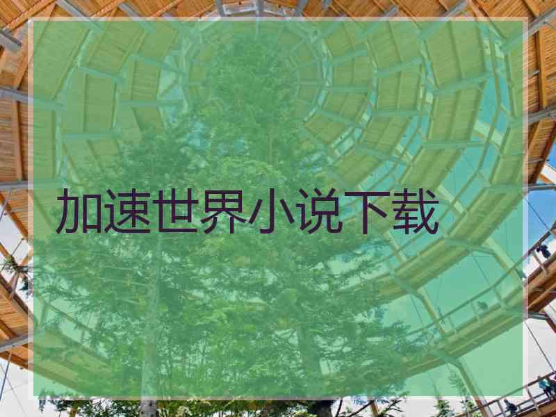 加速世界小说下载