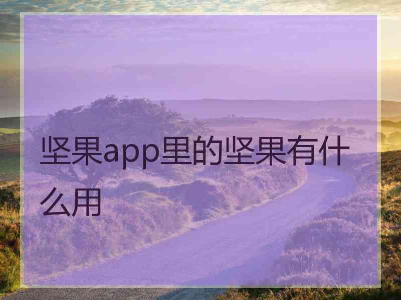 坚果app里的坚果有什么用