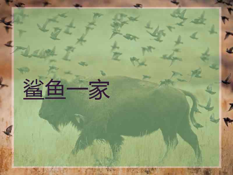 鲨鱼一家