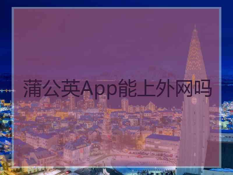 蒲公英App能上外网吗