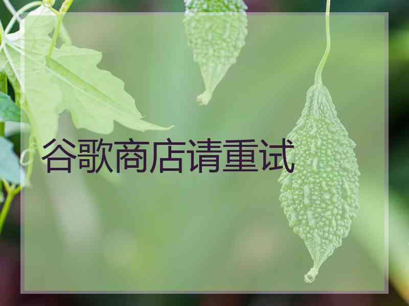谷歌商店请重试