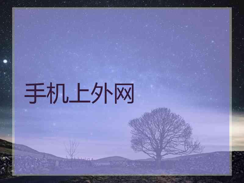 手机上外网