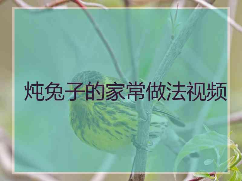 炖兔子的家常做法视频