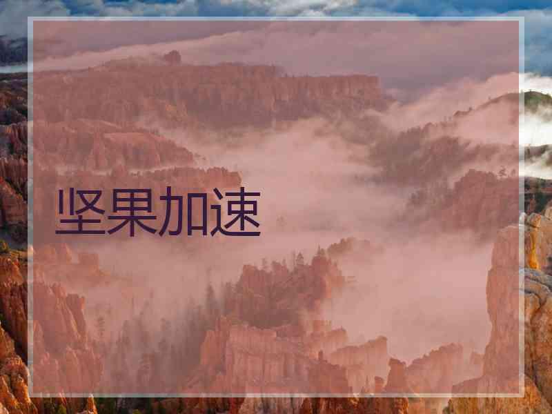坚果加速