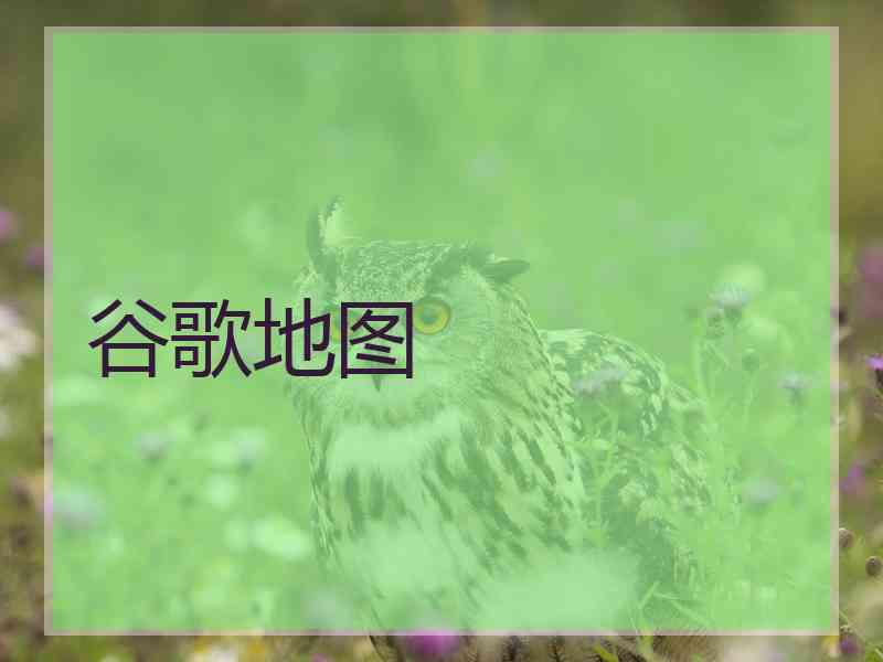 谷歌地图