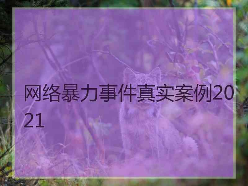 网络暴力事件真实案例2021