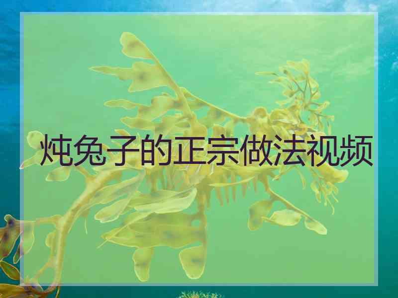 炖兔子的正宗做法视频