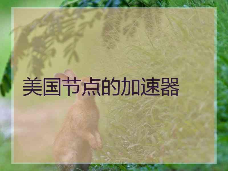 美国节点的加速器