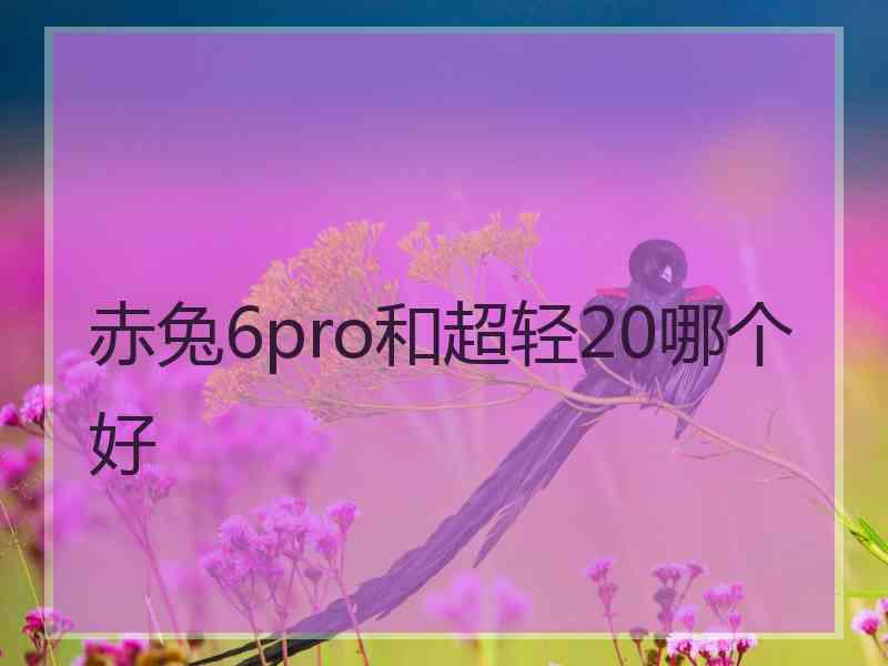 赤兔6pro和超轻20哪个好