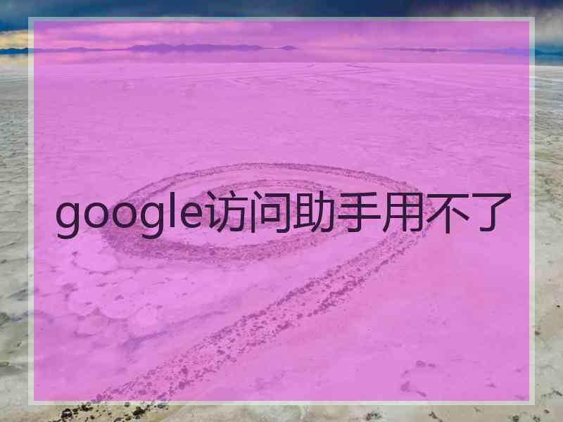 google访问助手用不了