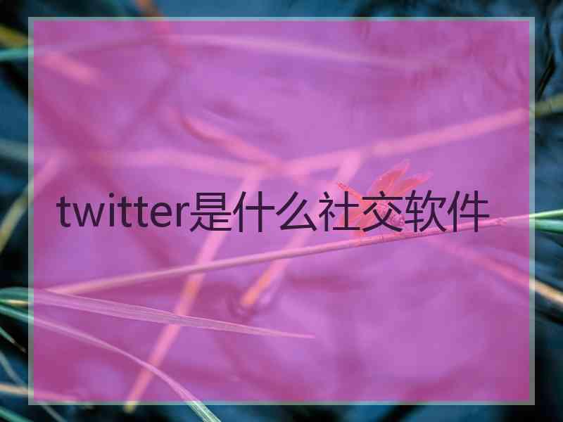 twitter是什么社交软件