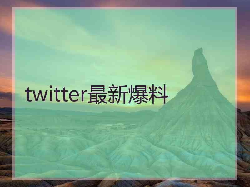 twitter最新爆料