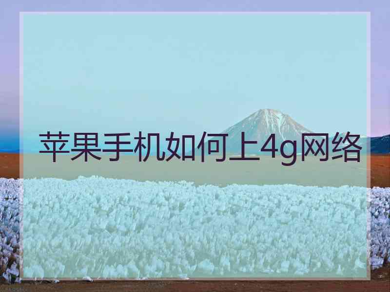 苹果手机如何上4g网络