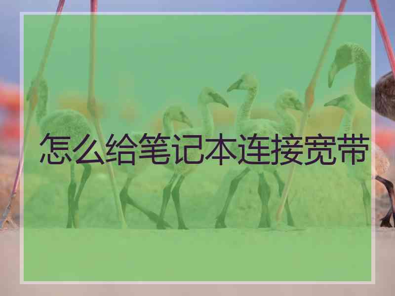 怎么给笔记本连接宽带