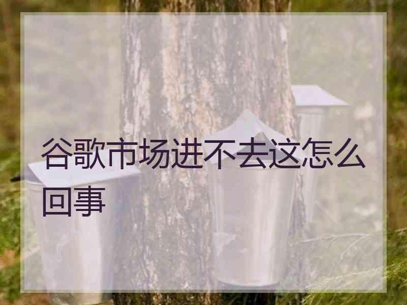 谷歌市场进不去这怎么回事