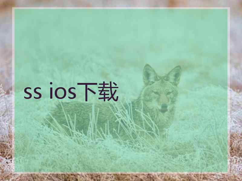 ss ios下载