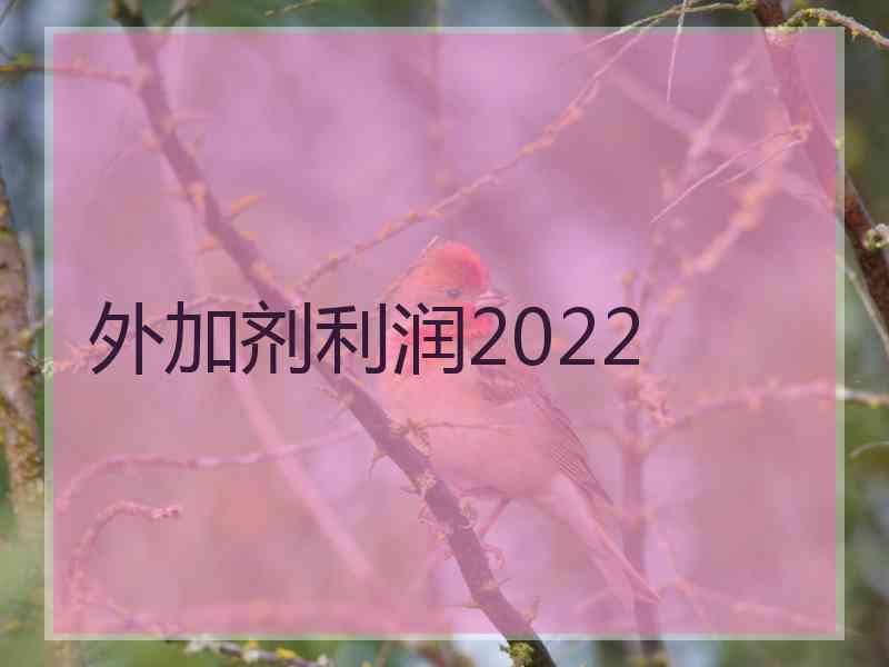 外加剂利润2022