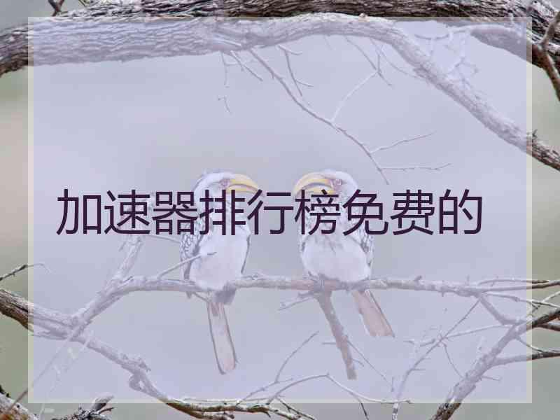 加速器排行榜免费的