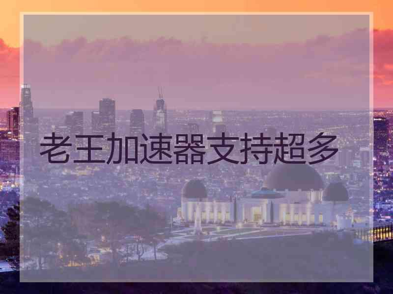 老王加速器支持超多