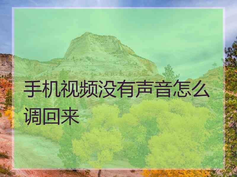 手机视频没有声音怎么调回来