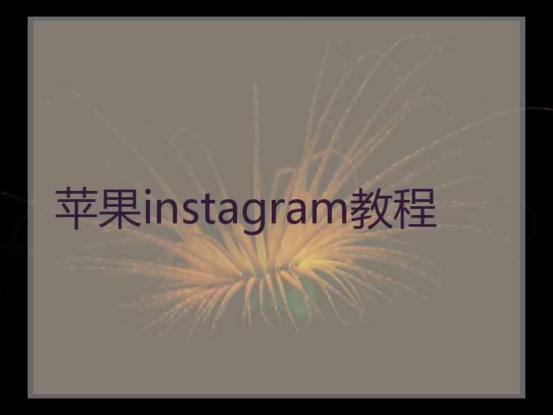 苹果instagram教程