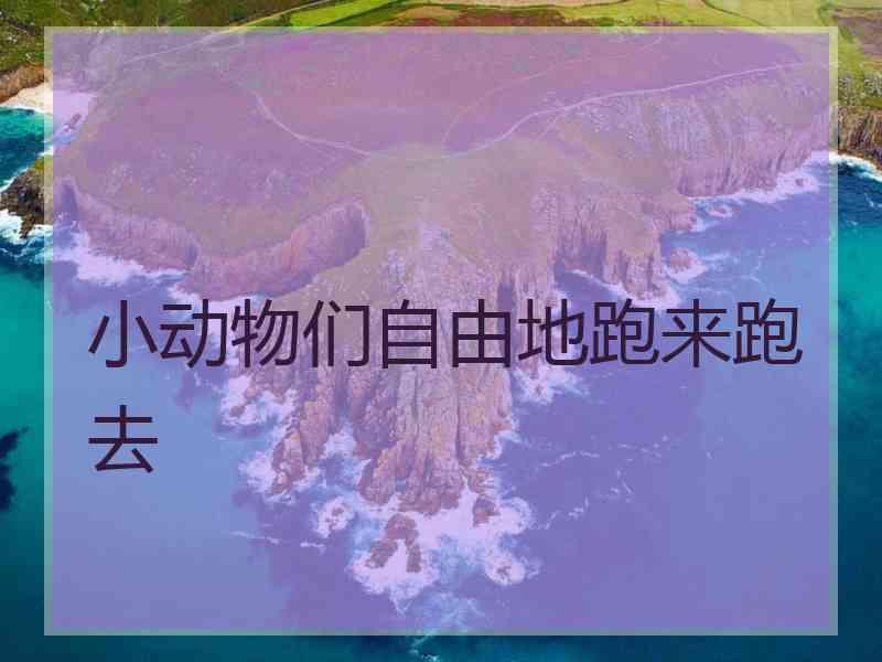 小动物们自由地跑来跑去