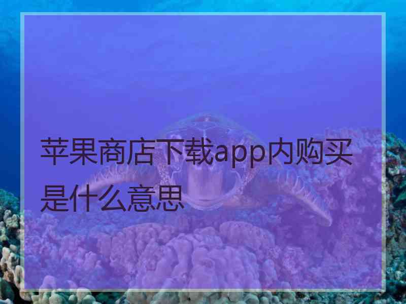 苹果商店下载app内购买是什么意思