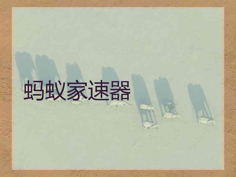 蚂蚁家速器