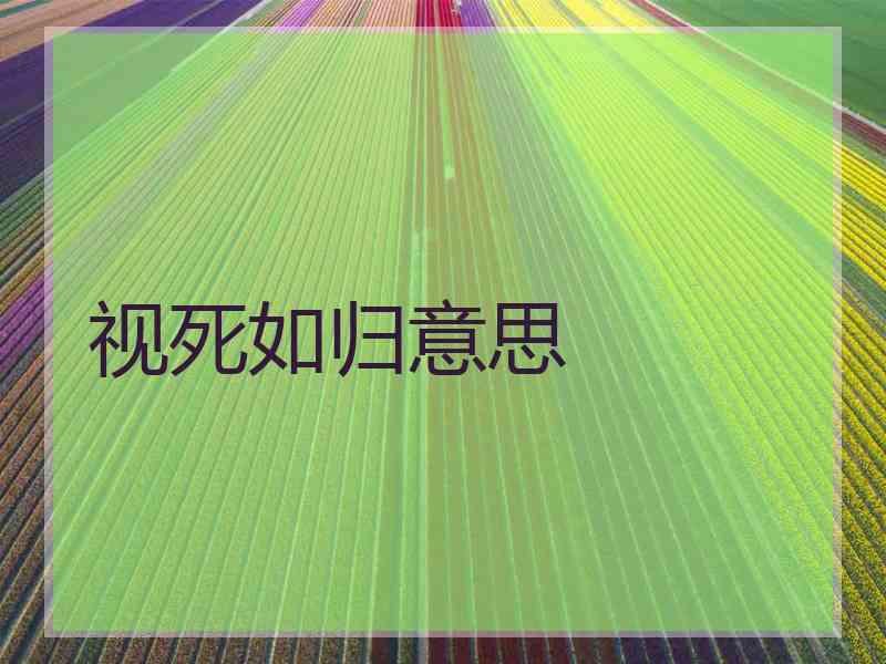 视死如归意思