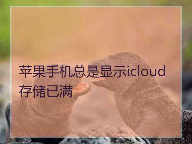 苹果手机总是显示icloud存储已满