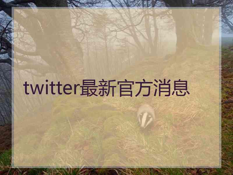 twitter最新官方消息