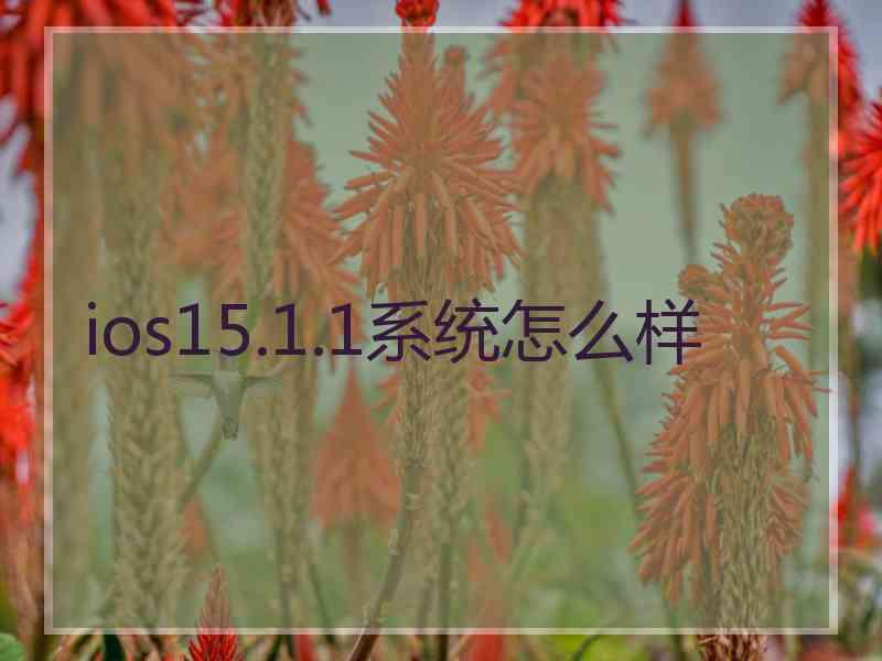ios15.1.1系统怎么样