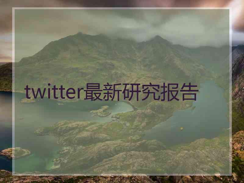 twitter最新研究报告