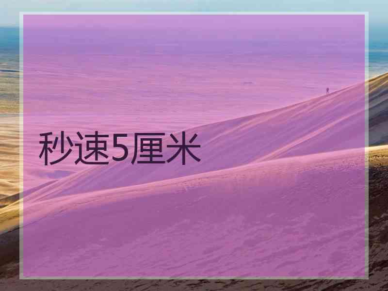 秒速5厘米