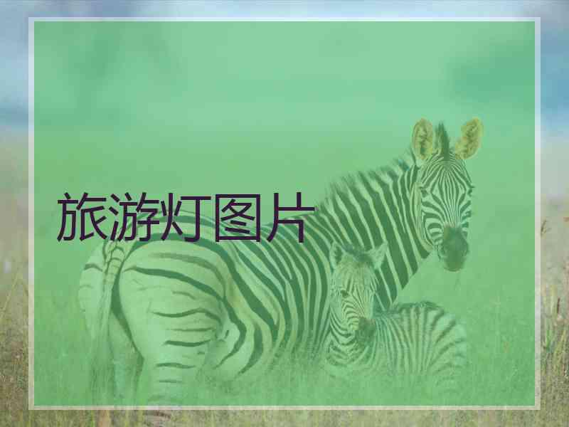旅游灯图片