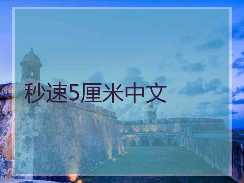 秒速5厘米中文