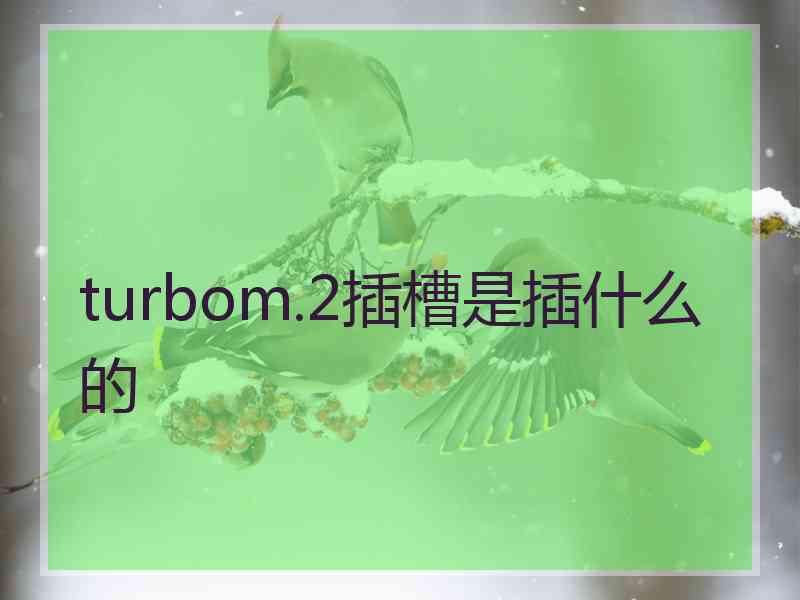 turbom.2插槽是插什么的