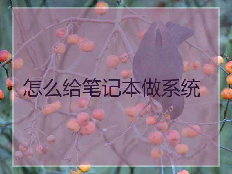 怎么给笔记本做系统