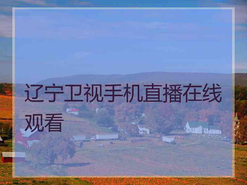 辽宁卫视手机直播在线观看