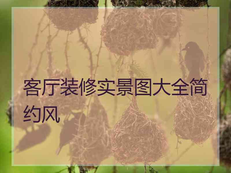 客厅装修实景图大全简约风